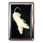 TWO HEADED RAT