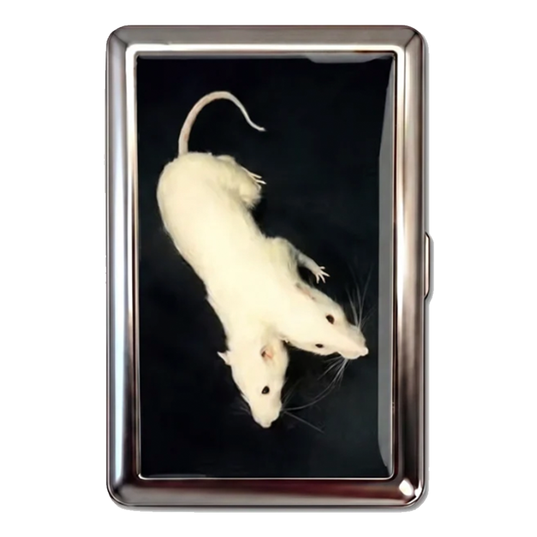 TWO HEADED RAT